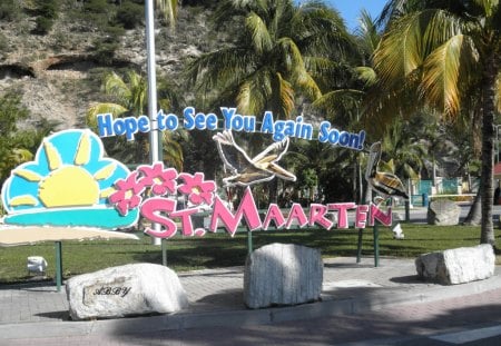 Happy New Year to all - trees, sign, photography, palm, yellow, pink, blue, green, stones