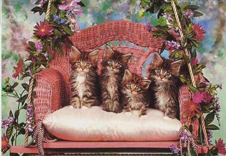 We love to swing - pillow, chair, pink, kittens, maine coon, feline, flowers, wicked swing