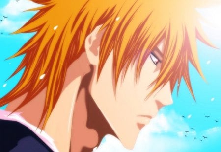 Kurosaki Ichigo - kurosaki ichigo, bleach, blue sky, brown hair, cool, orange hair, boy, clouds, anime, short hair, birds