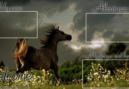 Layout 3 - horse, fantasy, landscape, layout