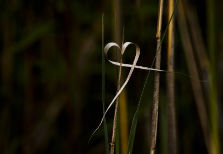 natures  heart - heart, nature, awesome, grass, art