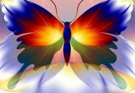 colorful butterfly - colorful, beautiful, butterfly, colorful butterfly, animals