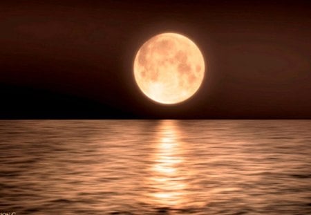 The Atlantic - moon, sunset, sunrise, atlantic ocean, beautiful moon, the atlantic