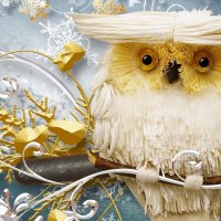 Wise Winter Owl