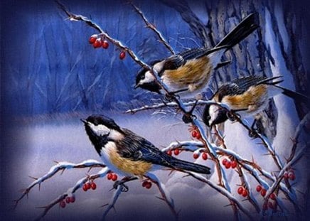 Winter birds - nice, branches, winter, snowflakes, lovely, nature, pretty, cold, frost, snow, beautiful, friends, sweet, frozen, cute, birds