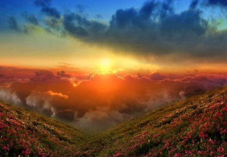 spectacular skies - sku, ridge, clouds, flowers, sunset, mountains