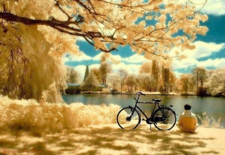Random Bliss - golden, peaceful, church, lake, quiet, bike, trees, bliss, bycycle