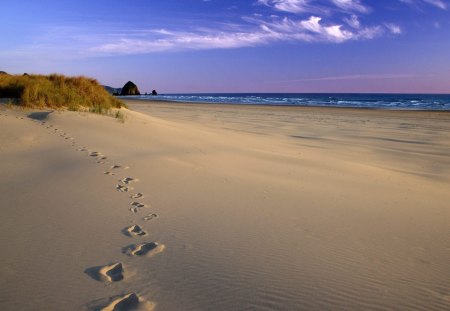 Untitled Wallpaper - footprints, sand, oregon