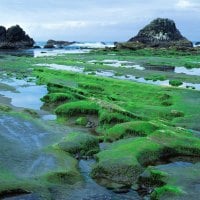 Seal Rock State Park - Oregon