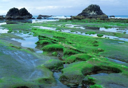 Seal Rock State Park - Oregon - seaways, seal rock, oregon