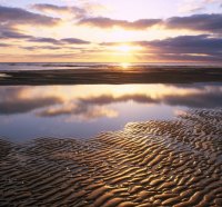 Texel Netherlands