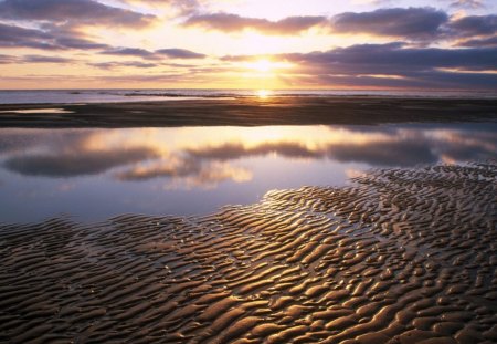 Texel Netherlands - nature, beaches