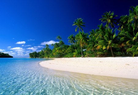 My dream beach - nice, beach, trees, paradise, water, white, clouds, green, oceanscapes, sand, landscapes, crystalline, ocean, hhh, translucent waters, palms, summer, tropical, dream, blue, beautiful, cook islands, sea