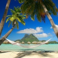 Hammock On The Beach