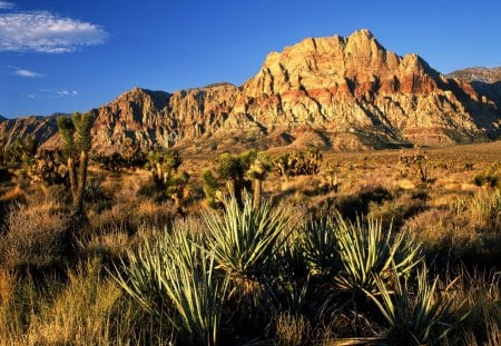 Untitled Wallpaper - canyons, nature