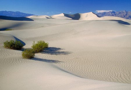 death valley - nature, valley, death, desert, grass, death valley, deserts