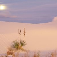 Full Moon Over Sand Dunes - White Sands National Monument - New Mexico