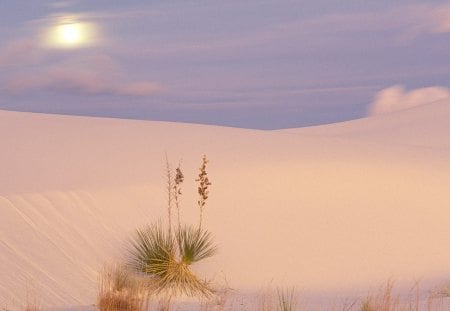 Full Moon Over Sand Dunes - White Sands National Monument - New Mexico