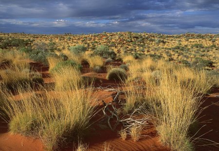 Untitled Wallpaper - nature, australia, deserts