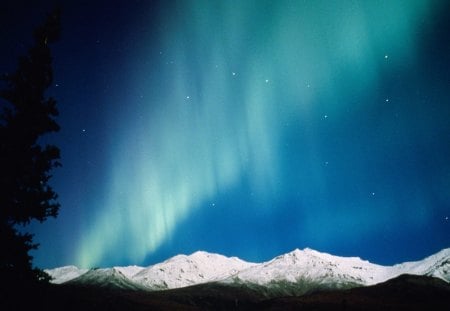 Night Lights Aurora Borealis Alaska - forces of nature, nature