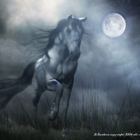 Night Mare