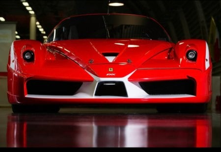 Untitled Wallpaper - fxx evolution, 2008, ferrari