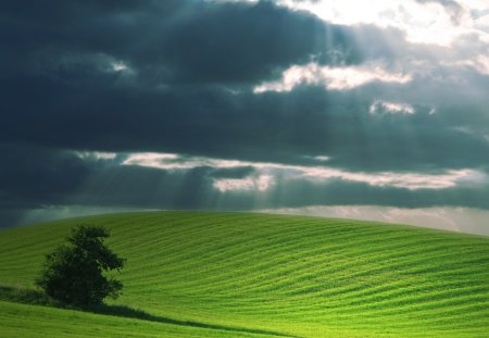 A New World  - sky, landscape, clouds, nature, green