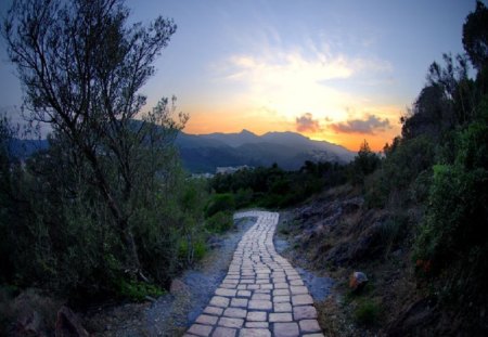 	le pays de Dracula - road, pays, dracula