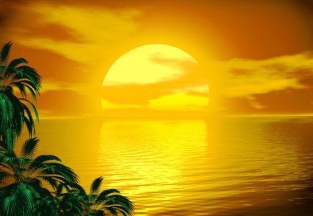 Golden Sunset  - nature, beach, palm tree, golden, sunset, sea, gold