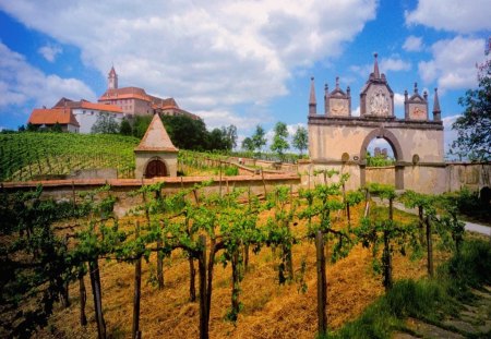 Vineyard - house, vineyard, nature, archway, green, field, austria, mountains