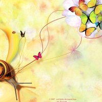 Snail and Butterflies