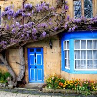 A Cotswolds Home