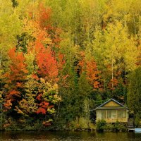 	La cabane au canada