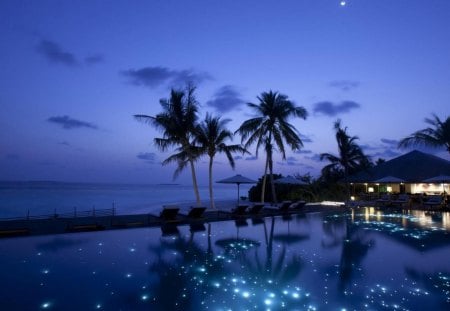 moon in the sky stars in the pool - moon, palms, night, resort, pool