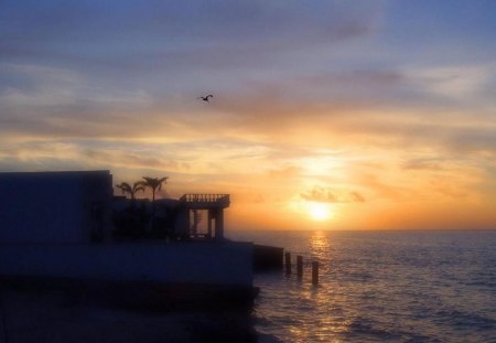 sunrise in cancun mexico - house, bird, sea, sunrise