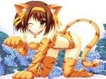 Haruhi Neko