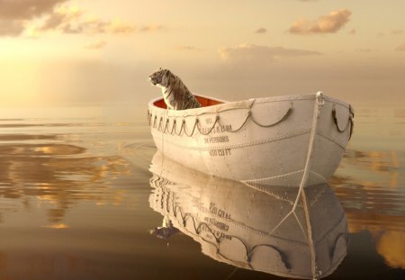 Life Of Pi - of, pi, life, movie