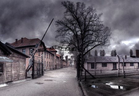 Auschwitz (Oświęcim) - Fence, Gate, Tree, Barracks, Clouds, Camp