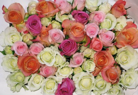 roses - roses, flowers, colourful, bouquet