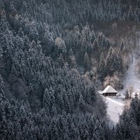 Small Forest Cabin in Winter