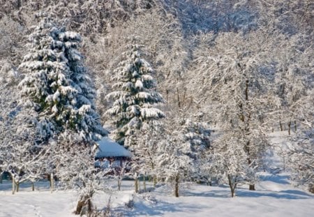 Winter - pretty, magic, snowflakes, snow, light, countryside, holiday, kindness, frost, yard, nice, house, fence, village, frozen, care, new year, deer, cabin, forest, alleys, home, meet, sky, cottage, trees, winter, beautiful, snowy, roe, girl, lovely, tree, christmas, painting, cold, little, park