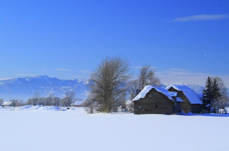 Winter - pretty, magic, snowflakes, snow, light, countryside, holiday, kindness, frost, yard, nice, house, fence, village, frozen, care, new year, deer, cabin, forest, alleys, home, sky, cottage, trees, winter, beautiful, snowy, roe, girl, lovely, tree, christmas, painting, cold, little, park