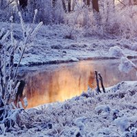 amazing river in winter