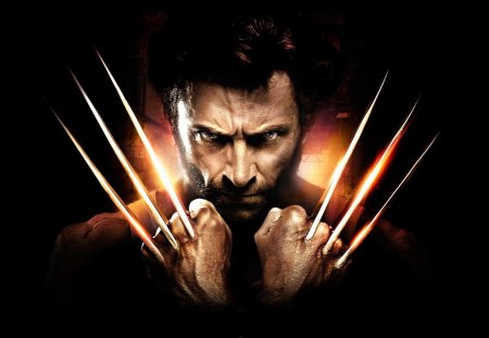 Wolverine 2013 - superheros, hugh, jackman, xmen, wolverine, marvel