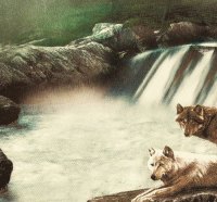 "Relaxing by the waterfall"....