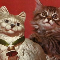 Christmas Cats