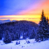 Winter impression