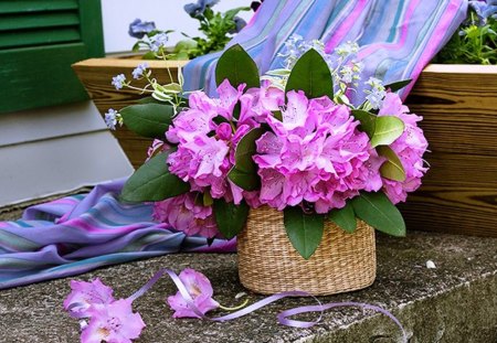 Purple flowers