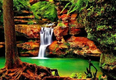 Waterfall - beautiful color of nature, trees, waterfall, rocks