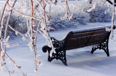 Icy bench - pretty, winter, snow, lovely, icy, rest, ice, frozen, nature, cold, frost, bench, nice